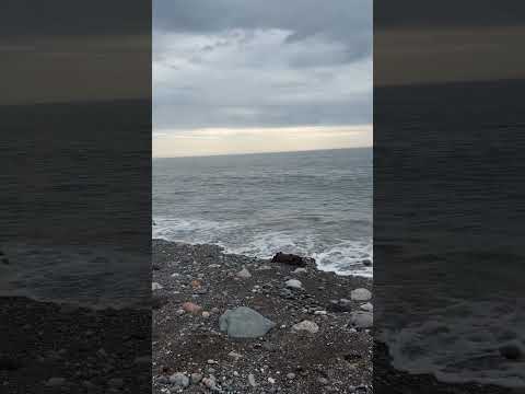 ASMR - Ocean 🌊 #asmr #asmrsounds - The ASMR Index