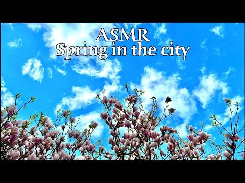 ASMR 🌙 Spring in the city - Birds, bees, cars, indistinct chatter (no talking)