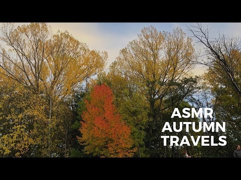 AMR EN ESPAÑOL | Un Viaje De Otoño 🍂 | (whispered & storytelling)