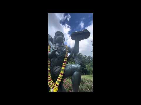 ASMR tour (Buddhist temple, garden)