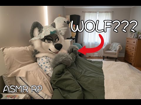 Little Red Riding Hood: What's wrong with grandma? [FURRY ASMR]