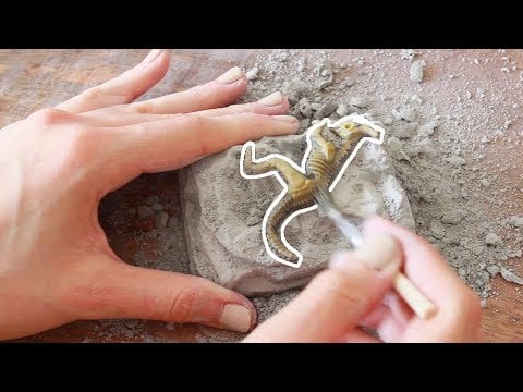 Dinosaur Excavation kit ASMR [No talking]