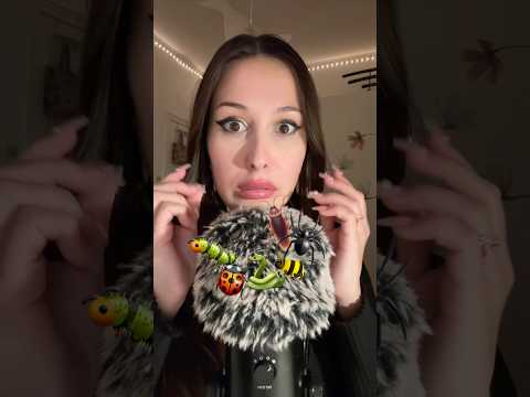 ASMR bugs trigger remastered 🙃 #asmr #asmrbugs #bugs #oddlysatisfyingvideo #relaxingasmr