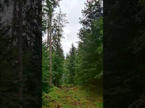 wonderful nature ,new live live coming soon