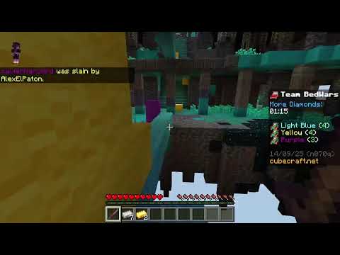 Minecraft with sibilings!