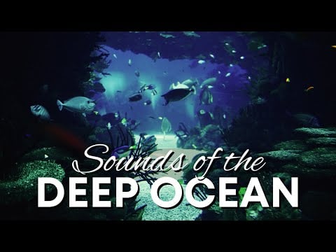 ASMR | DEEP OCEAN AMBIENCE - Atmosphere for Insomnia, Anxiety, & Depression