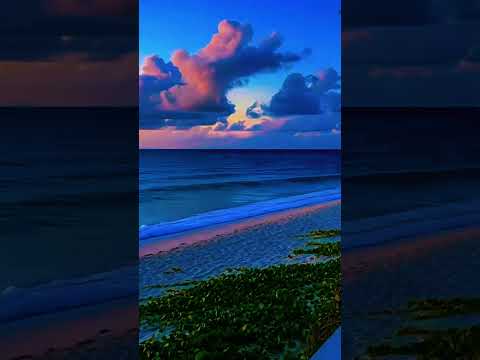 Ocean Relaxation Sounds #shortvideo #relax
