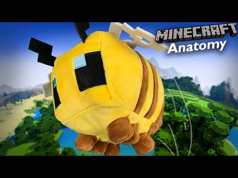[ASMR] The Anatomy of a Minecraft Bee 🐝 | Nature ASMR, Layered Sounds