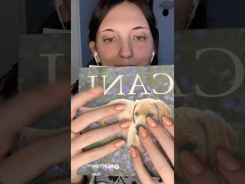 Libro sui cani ASMR 😴 #asmr #asmrita #books #dogs #relax #whispering #shorts