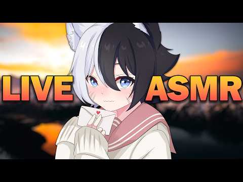Femboy ASMR 💗 Cozy Tingles To Put You Into a Deep Sleep ✨ Whispers & Ear Cleaning