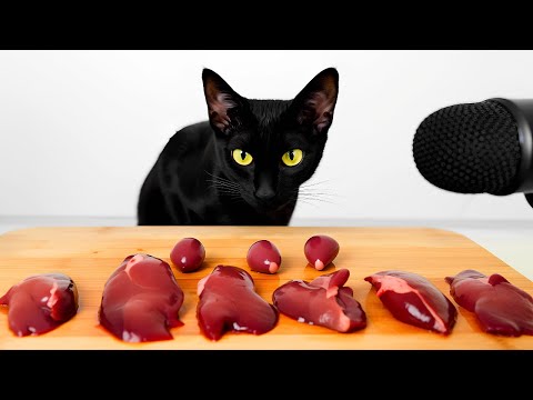 Black Cat Eating Liver ASMR Mukbang (No Talking)