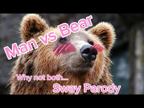 Sway with Man vs Bear