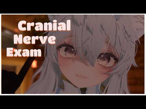【Visual ASMR Vrchat】Cranial Nerve Exam ♥ Talking ♥ Attention ♥ Eye exam