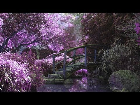 [ASMR] Binaural Reading: The Stories of Magic Realism Bot