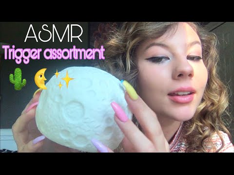 ASMR Tingly Trigger Assortment 🌵🌜✨