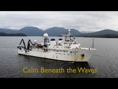 ASMR Oceanography Documentary Narration - Calm Beneath the Waves