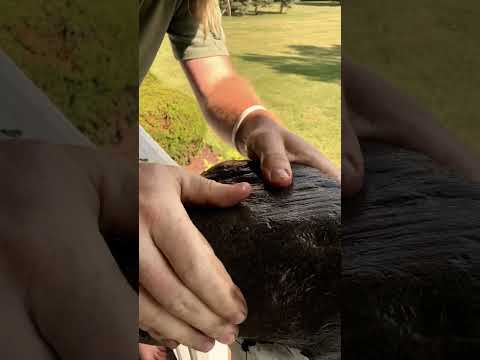 ASMR Giving A Rock A Massage #asmr