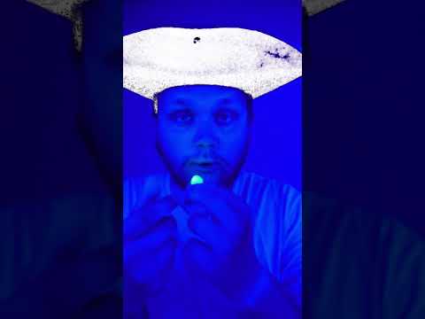 You found Smurf Cat in the forest :O #asmr