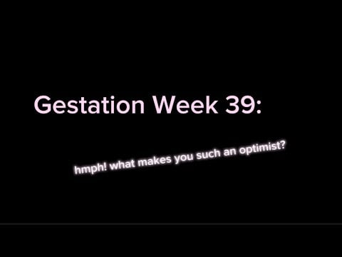 “ASMR” “Roleplay”: You and Your Twin Kick at the Womb Walls on the 39th Week of Gestation