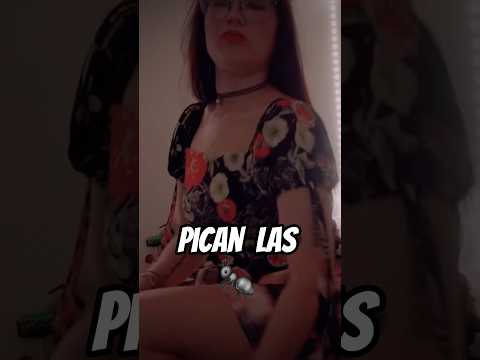 me atacan las tucuhormigas #asmr #relax #tingles