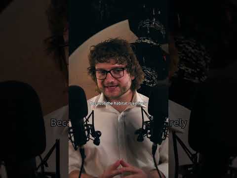 Is the future of humanity in O'Neill Cylinders? #asmr | Whispering about space habitats