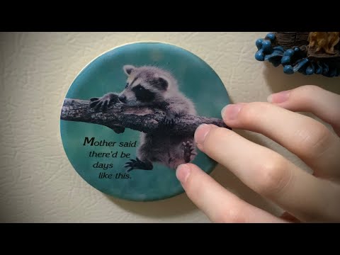 Nail Tapping Around My Apartment: Fridge Magnets Edition | Lofi Monday’s