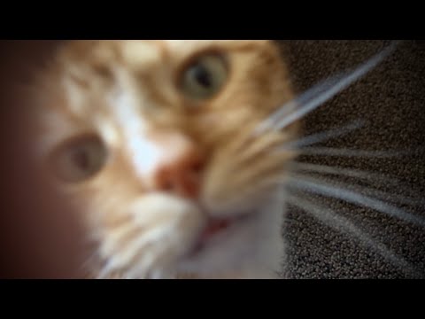 Camera Tapping ASMR | Soft Spoken | Lofi Monday's