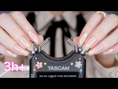 ASMR TASCAM Best Triggers for Sleep 3Hr / 最高の睡眠へ誘う TASCAM 最強トリガー (No Talking)