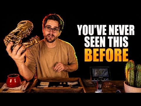COME SEE WHAT I FOUND | Paleontology ASMR Roleplay