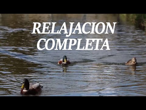 ASMR SONIDOS Y PAISAJES DE LA NATURALEZA PARA DORMIR EN PAZ🥱