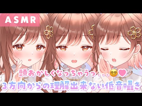 【ASMR】頭おかしくなっちゃうｯ…🥺3方向からの理解できない低音囁き[Low voice inaudible whispers from three directions.]