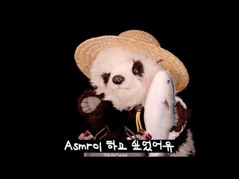 asmr을 잘못배운 판다