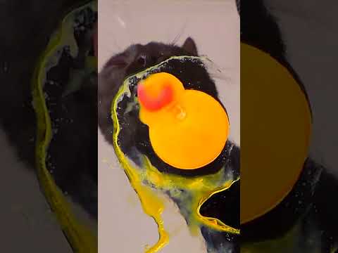 ASMR EGG YOLK 👅🐣