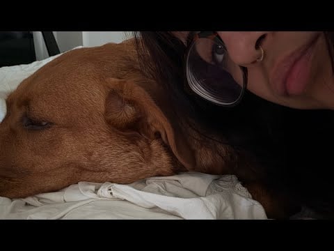 ASMR whisper rambles + amber (mouth sounds galore) ☾
