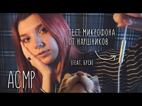 АСМР  🔊 тест микрофона от наушников + mic nibbling (feat. моя кошка Буся) 😸