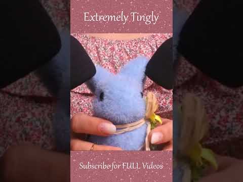 ASMR Super Tingly ASMR ❤️ Crunchy Sounds ❤️ Ear to Ear #shorts #asmr