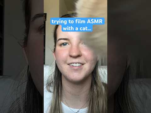 the life of an ASMRtist with a cat🐱🐱😹 #asmr #cat #asmrshorts