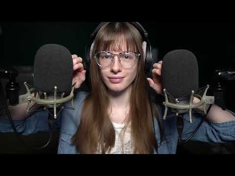 3,000 Dollar Microphones ASMR High Sensitivity