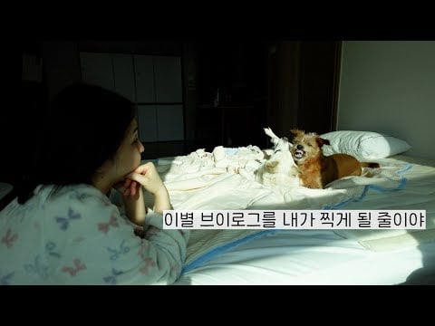 8년 장기 연애 이별, 부산으로 이사｜오랜만에 브이로그