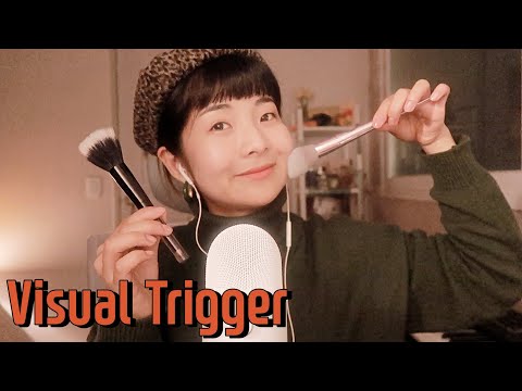 [한국어 Korean ASMR] 무조건 잠오는 시각적 팅글 (stipple, movement, face brushing)