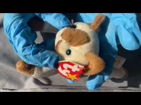 ASMR | beanie baby doctor's office