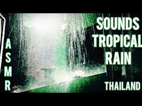 ASMR The sounds of heavy tropical rain! Moments of relaxation!