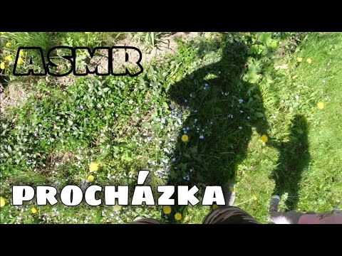 ASMR CZ/CZECH/ Procházka 🌲🌳🚶‍♀️