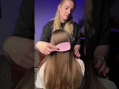 WHICH ONE IS MORE EXPENSIVE? 💵✅ #visualtingle #relax #asmrhairbrushing